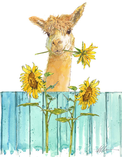 Alpaca On Fence Watercolor Print