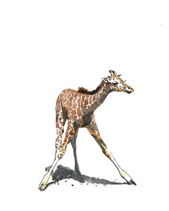 Baby Giraffe Nursery Watercolor Print