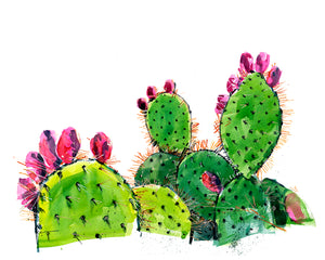 prickly pear cactus watercolor Prickly Pear Bright Watercolor Print